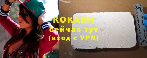 СК Алексин