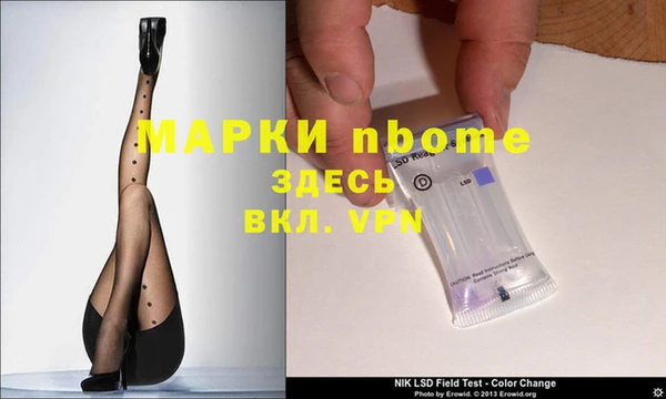 СК Алексин